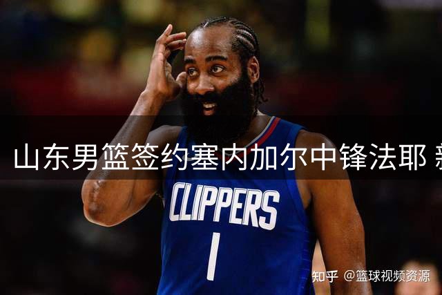 山东男篮签约塞内加尔中锋法耶 新赛季将补强内线
