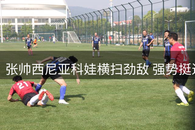 张帅西尼亚科娃横扫劲敌 强势挺进多伦多双打半决赛