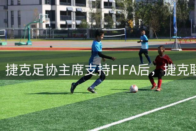 捷克足协主席支持FIFA后，捷克联赛协会声明：我们支持切费林